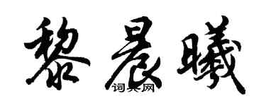 胡問遂黎晨曦行書個性簽名怎么寫