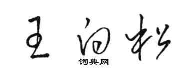 駱恆光王白松草書個性簽名怎么寫