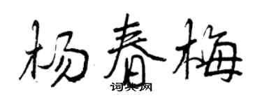 曾慶福楊春梅行書個性簽名怎么寫