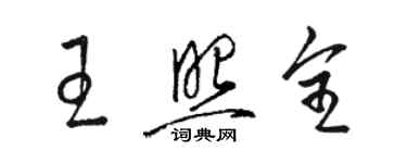 駱恆光王照全草書個性簽名怎么寫