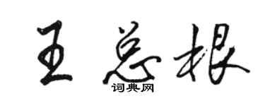 駱恆光王總根行書個性簽名怎么寫
