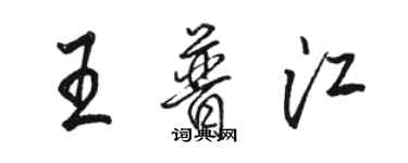 駱恆光王普江行書個性簽名怎么寫
