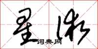 朱錫榮星術草書怎么寫