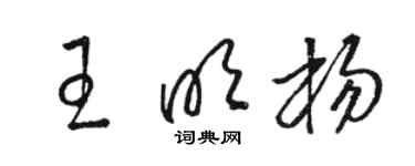 駱恆光王明楊草書個性簽名怎么寫