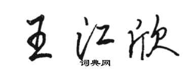 駱恆光王江欣行書個性簽名怎么寫