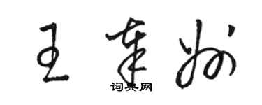 駱恆光王奉州草書個性簽名怎么寫