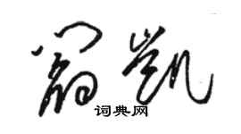 駱恆光閻凱草書個性簽名怎么寫