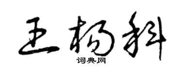 曾慶福王楊科草書個性簽名怎么寫