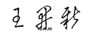 駱恆光王開新草書個性簽名怎么寫