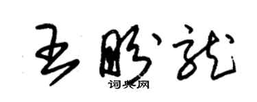 朱錫榮王盼龍草書個性簽名怎么寫