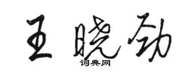 駱恆光王曉勁行書個性簽名怎么寫