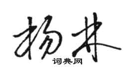 駱恆光楊林草書個性簽名怎么寫