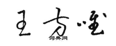 駱恆光王方唯草書個性簽名怎么寫