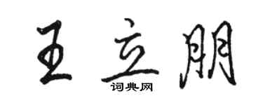 駱恆光王立朋行書個性簽名怎么寫