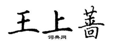 丁謙王上薔楷書個性簽名怎么寫