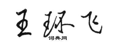 駱恆光王環飛行書個性簽名怎么寫