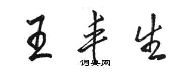 駱恆光王豐生行書個性簽名怎么寫