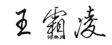 駱恆光王霜凌行書個性簽名怎么寫