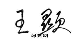 駱恆光王顯草書個性簽名怎么寫