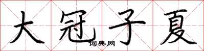 荊霄鵬大冠子夏楷書怎么寫