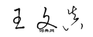 駱恆光王文真草書個性簽名怎么寫