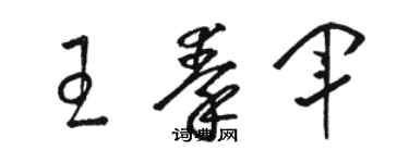 駱恆光王秦軍草書個性簽名怎么寫