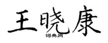 丁謙王曉康楷書個性簽名怎么寫