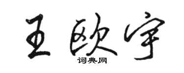 駱恆光王歐宇行書個性簽名怎么寫