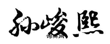 胡問遂孫峻熙行書個性簽名怎么寫