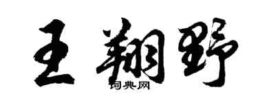 胡問遂王翔野行書個性簽名怎么寫