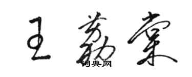 駱恆光王荔棠草書個性簽名怎么寫