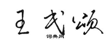 駱恆光王民頌草書個性簽名怎么寫