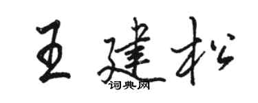 駱恆光王建松行書個性簽名怎么寫