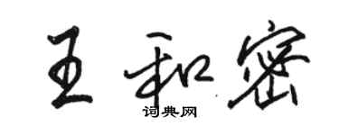 駱恆光王和密行書個性簽名怎么寫