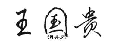 駱恆光王國貴行書個性簽名怎么寫