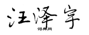 曾慶福汪澤宇行書個性簽名怎么寫