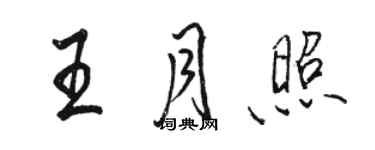 駱恆光王月照行書個性簽名怎么寫