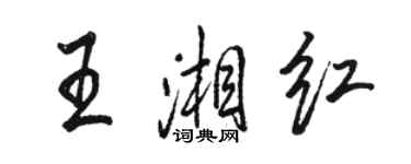 駱恆光王湘紅行書個性簽名怎么寫