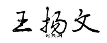 曾慶福王揚文行書個性簽名怎么寫