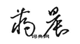 駱恆光蔣晨草書個性簽名怎么寫