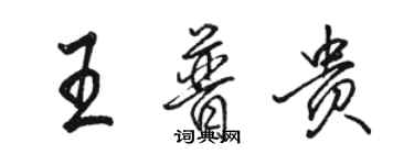 駱恆光王普貴行書個性簽名怎么寫