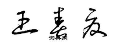 曾慶福王春夏草書個性簽名怎么寫