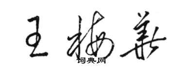 駱恆光王梅華草書個性簽名怎么寫