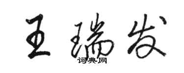 駱恆光王瑞發行書個性簽名怎么寫
