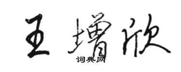 駱恆光王增欣行書個性簽名怎么寫