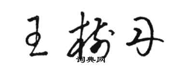 駱恆光王樹丹草書個性簽名怎么寫