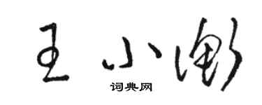 駱恆光王小衡草書個性簽名怎么寫