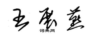 朱錫榮王展燕草書個性簽名怎么寫
