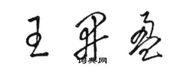 駱恆光王開盈草書個性簽名怎么寫