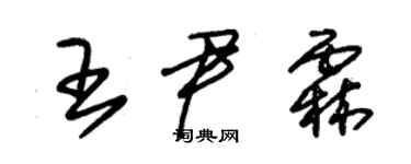 朱錫榮王尹霖草書個性簽名怎么寫